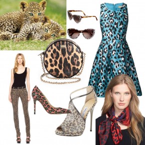 Fun Leopard Prints