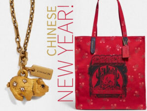 Chinese New Year Inspired: Happy Year of the Pig!